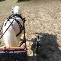 Bienvenue chez nous!